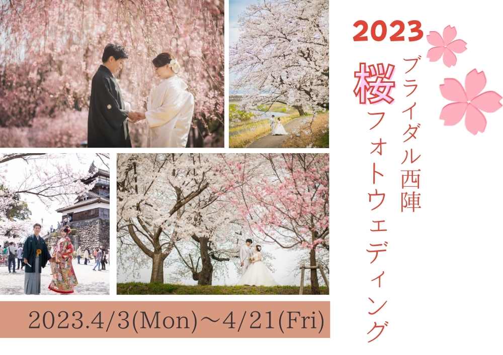 2023年桜フォトウェディング受付はじめました！